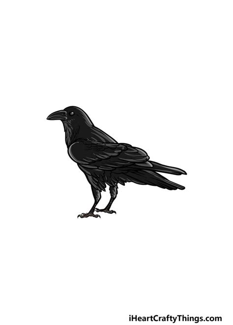Crow Drawing How To Draw A Crow Step By Step