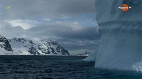 Antarktyda Na Bezdechu Dokument P Cda