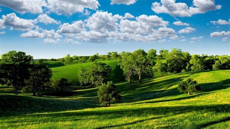 🥇 Green Clouds Trees Hills Summer Shadows Meadows Sky Wallpaper 183690