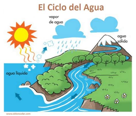 El Ciclo del Agua Para niños Ciclo Escolar