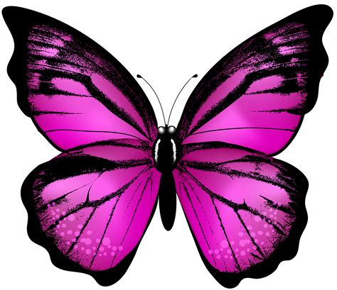 25+ Inspirasi Keren Transparent Background Pink Butterfly Clipart Png png image