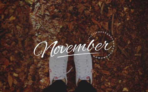 Cute November Wallpapers Top Những Hình Ảnh Đẹp