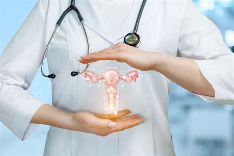 Understanding The Role Of A Gynecologist In Abu Dhabi Al Hosn