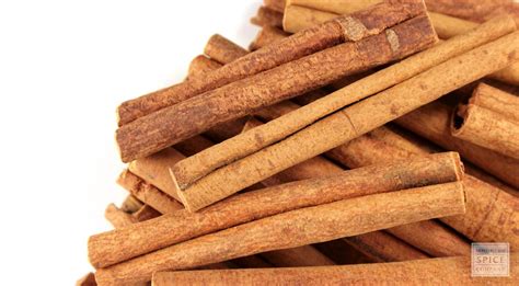Monterey Bay Spice Co Cinnamon Sticks 2 34
