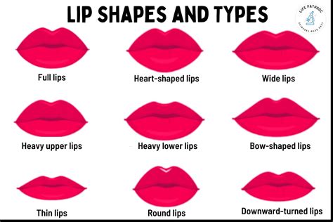 Your Guide To The Different Types Of Lip Fillers The Best Porn Website