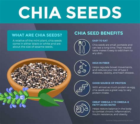 Top Skin Benefits Of Chia Seeds Planmymedical