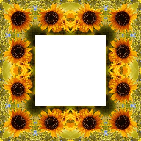 Clipart Sunflower Png Best 41033 Free Icons And Png