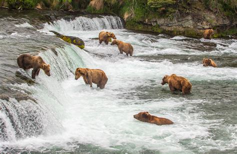 Katmai National Park And Preserve Alaska Travel Alaska