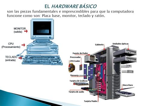 Estructura Basica Del Hardware Slingo