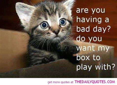 Home / short funny quotes. Bad Day Funny Quotes. QuotesGram