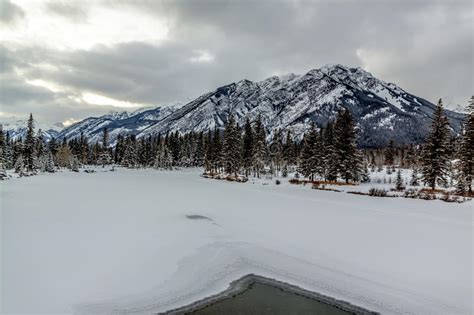 Banff River Bow Stock Image Image Of Landscape Snow 43832859