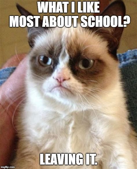 Grumpy Cat School Imgflip