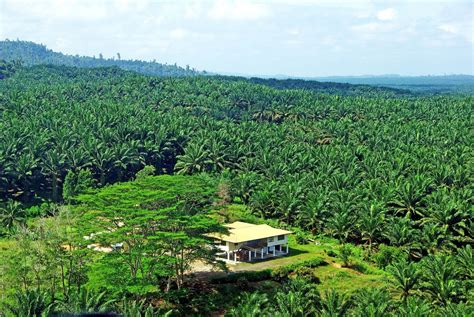 The government does not publish this data in a publicly usable format. Some of significant achievements of Sarawak under Abdul ...
