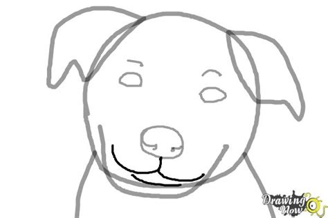 Draw an upside down heart and a triangular shape with two cutout holes. How to Draw a Dog Face - DrawingNow