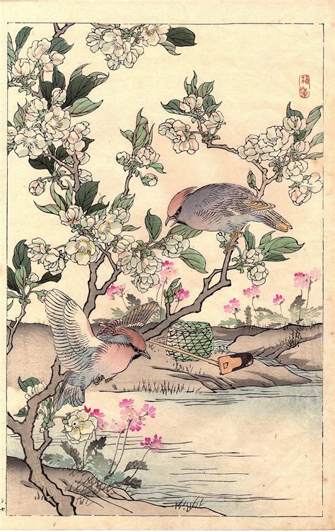 japanese antique original woodcut print kono bairei bairei s book of birds and flowers