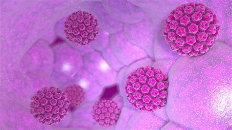 Papilloma Virus Cosè Cause E Sintomi Come Prevenire Il Contagio