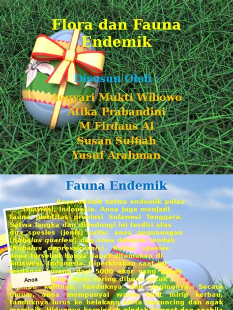 Gambar flora dan fauna di sulawesi. Gambar Tumbuhan Endemik Di Sulawesi - Gambar Gambar Tumbuhan