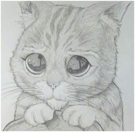 Imagen Imagenes Para Dibujar Gatos A Lapiz Dibujos De Gatos