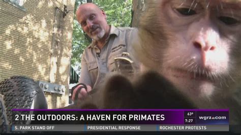 A Haven For Primates In Niagara Falls