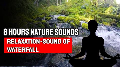 Natural Healing Techniques Nature Waterfall Sound Help You To Have A