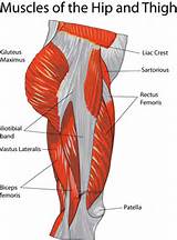 Photos of Lateral Core Muscles