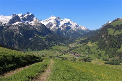 Snow Capped Mountains And Green Meadow Stock Image Image Of Gsteig