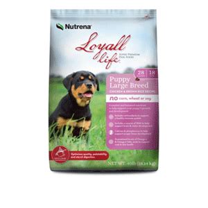 Grocery coupon.cash back earn $.02 per click on eligible nutrena coupons … Loyall - Life Large Breed Puppy Chicken & Brown Rice 40lb ...