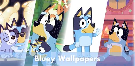 Download Bluey And Bingo Wallpaper Apk Free For Android