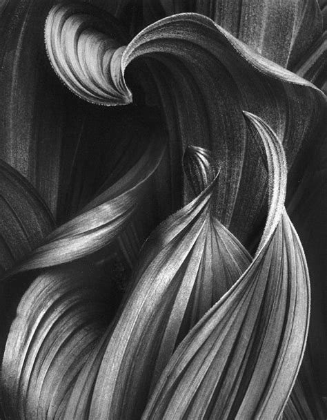 In their heyday, art movements took the form of rebellions—revolutions, even—and ironically, many of their now glorified names came from the mouths of prints throughout the ages. Surface Studio: Fall 2016: Elements and Principles for ...