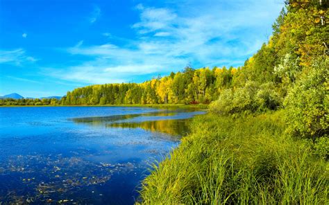 Nature Landscape Summer Lake Forest Grass Wallpapers For Your Desktop