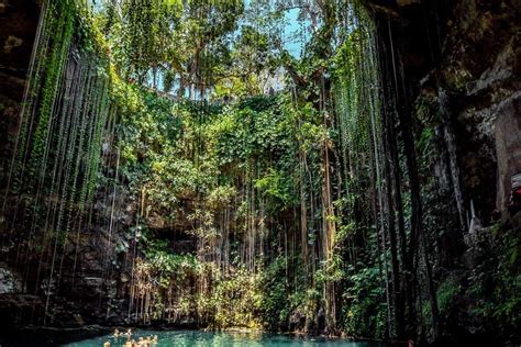 25 Things To Know About Cenote Ik Kil Yucatan 2023