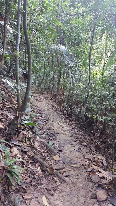 Kali pertama hiking kat sini tempat cantik view cantik trek pun santai je kat kota damansara je track: WANDERLUST DJ: Denai Tiga Puteri, Hutan Simpan Kota Damansara