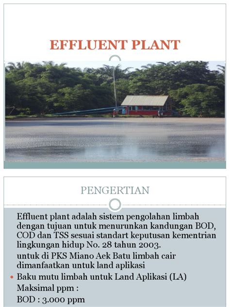 PDF Pengolahan Limbah Cair Pabrik Kelapa Sawit DOKUMEN TIPS