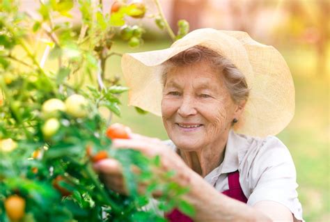 The Benefits Of Gardening For Seniors Champion Home Health