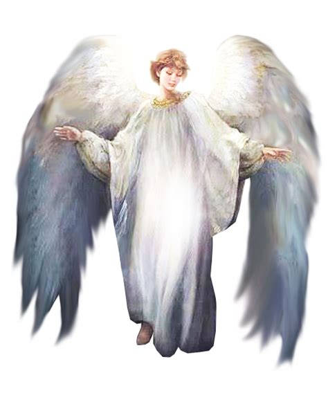 Palm Angels Png Png Image Collection