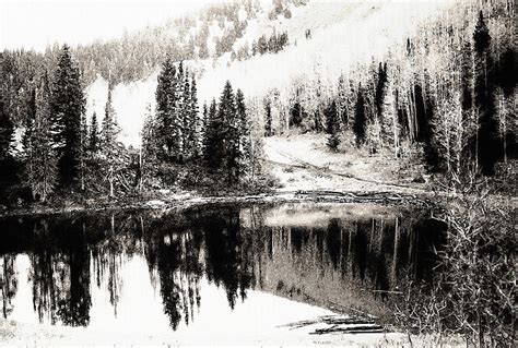 Rocky Mountain Lake Black And White Photograph By Steve