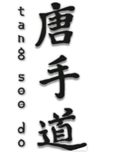 History Traditional Global Tang Soo Do Association