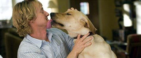 Marley & me movie reviews & metacritic score: The Top 10 Animal Film Tearjerkers: From 'King Kong' To ...