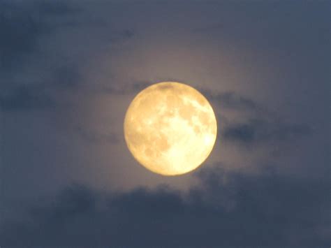 Glowing Moon By Greentreenharmony On Deviantart