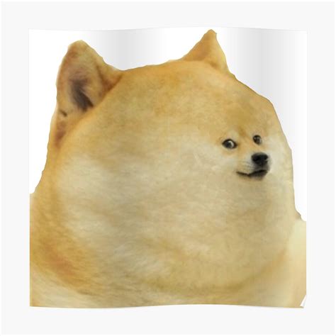 Doge Dog Meme Face