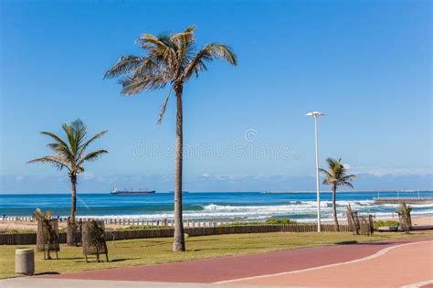 Verano De Las Ondas De La Playa De La Promenade De Durban Foto De