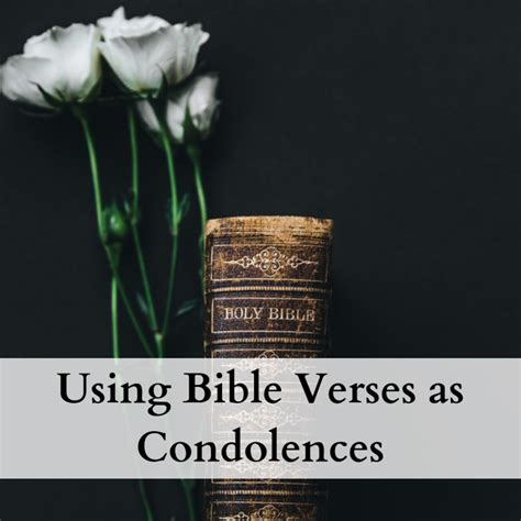 Bible Verses To Use As Condolences And Sympathy Messages Holidappy