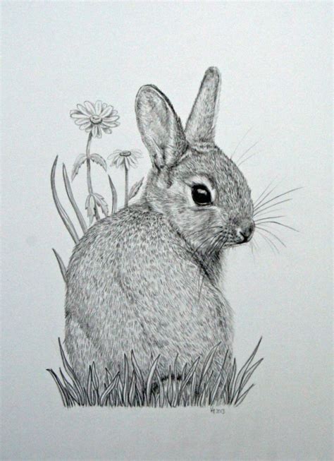 It is simple and chic. 85 Simple And Easy Pencil Drawings Of Animals For Every Beginner