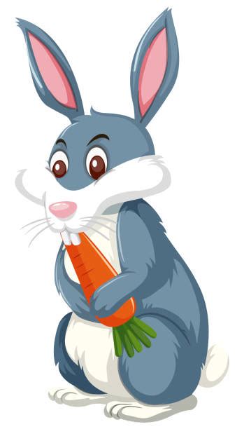 Cartoon Of Bunny Eating Carrots Illustrations Royalty Free Vector Graphics And Clip Art Istock