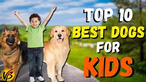 Top 10 Best Dogs For Kids Best Dog Breeds For Kids In Hindi Kids