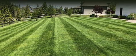 Residential Lawn Care Services Matlock Landscaping