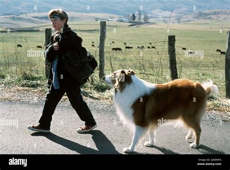 Thomas Guiry And Lassie Film Lassie 1994 Characters And Lassie Director