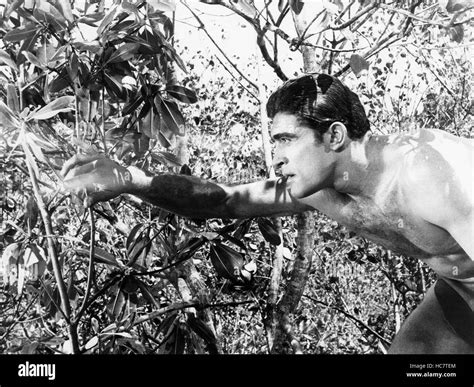 Tarzan And The Great River Mike Henry 1967 Stock Photo Alamy
