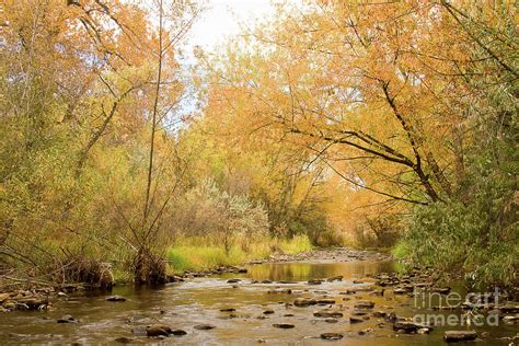Colorado Autumn Creek Photograph By James Bo Insogna Fine Art America
