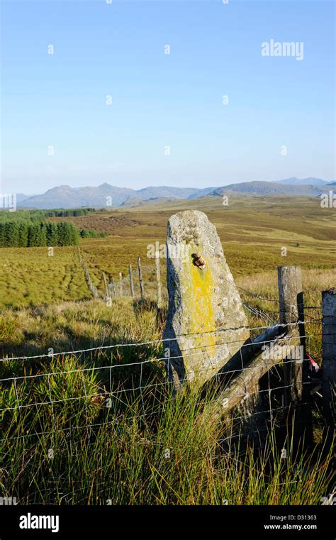 Boundary Stone On The Welsh Upland Moorland Of Migneint Stock Photo Alamy